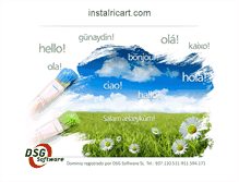 Tablet Screenshot of instalricart.com